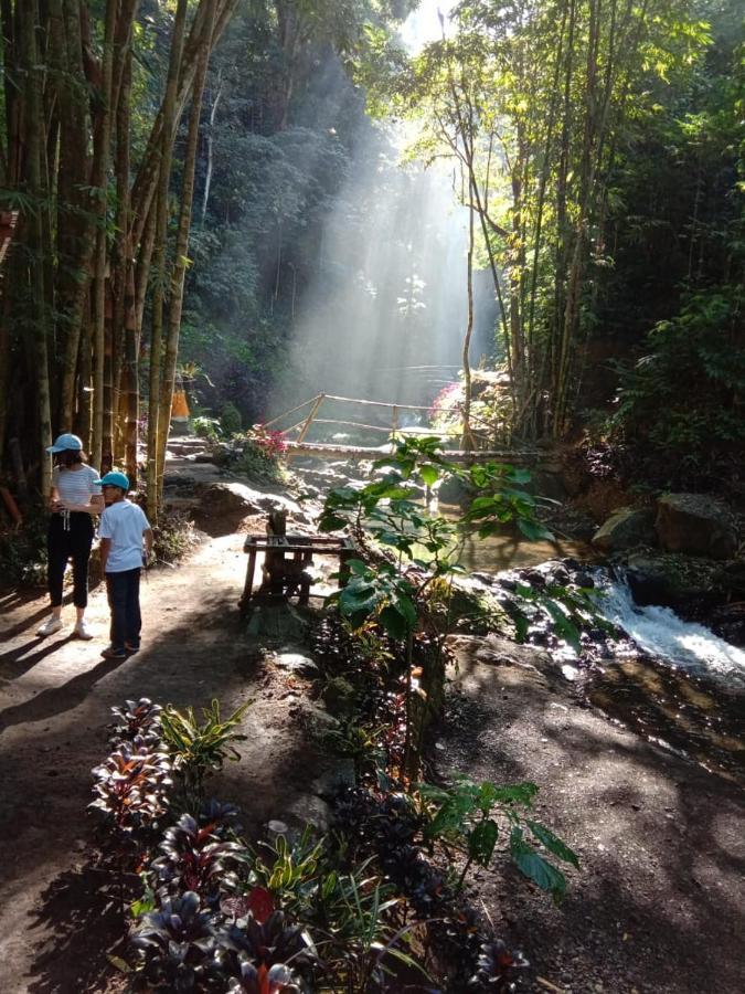 ホテル Bintang Munduk エクステリア 写真