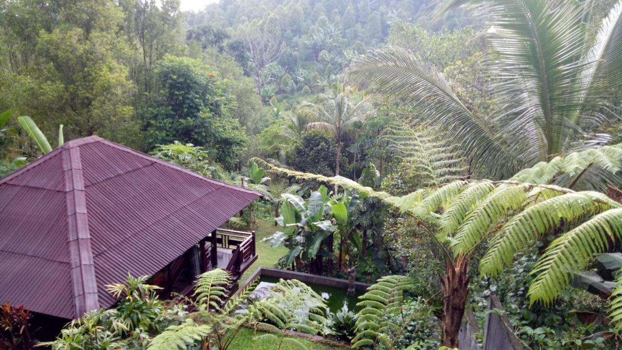 ホテル Bintang Munduk エクステリア 写真